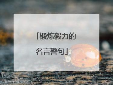 锻炼毅力的名言警句