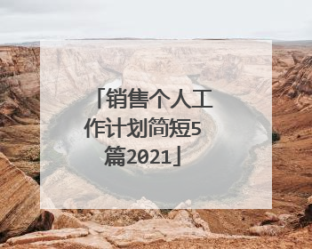 销售个人工作计划简短5篇2021