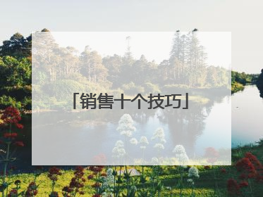 销售十个技巧