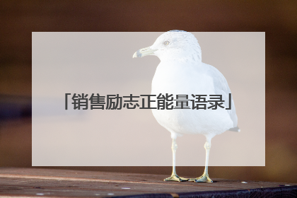 销售励志正能量语录