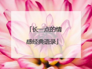 长一点的情感经典语录