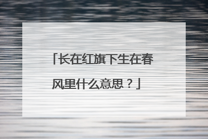 长在红旗下生在春风里什么意思?