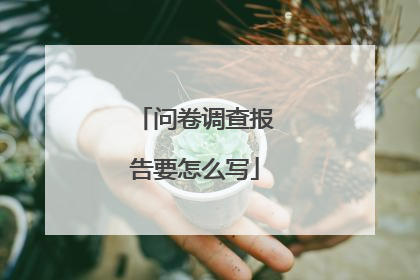 问卷调查报告要怎么写
