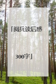 阅兵读后感300字