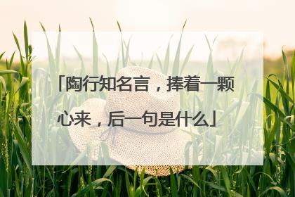 陶行知名言,捧着一颗心来,后一句是什么