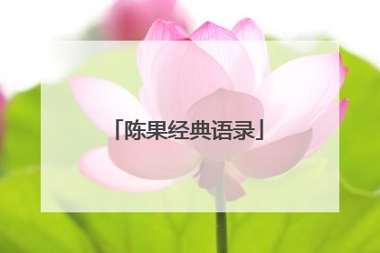 陈果经典语录