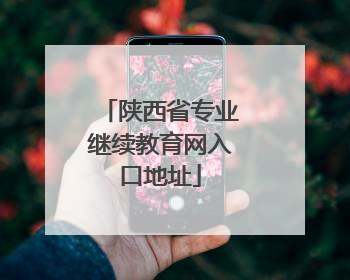 陕西省专业继续教育网入口地址