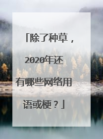 除了种草,2020年还有哪些网络用语或梗?