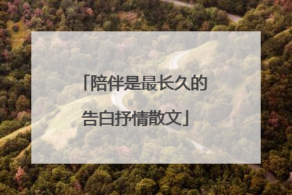 陪伴是最长久的告白抒情散文