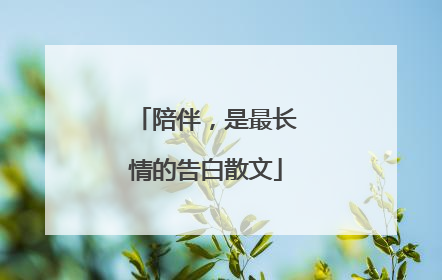 陪伴，是最长情的告白散文