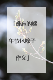难忘的端午节包粽子作文