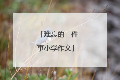难忘的一件事小学作文