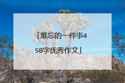 难忘的一件事450字优秀作文