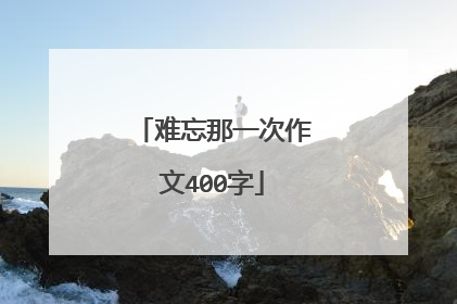 难忘那一次作文400字