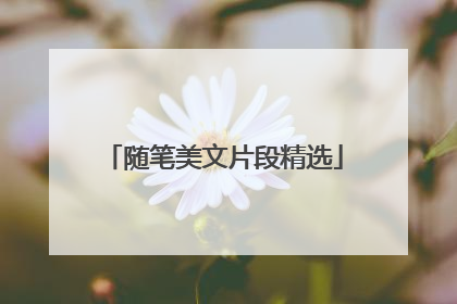 随笔美文片段精选