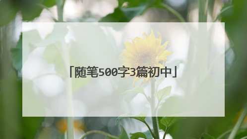 随笔500字3篇初中