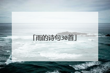 雨的诗句30首