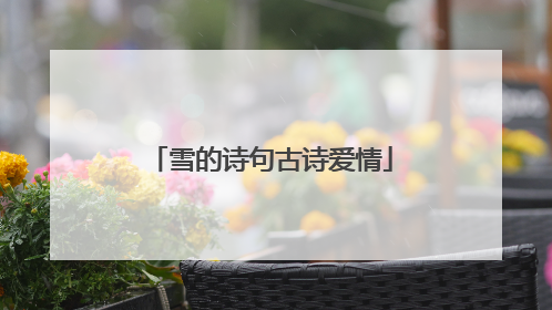 雪的诗句古诗爱情