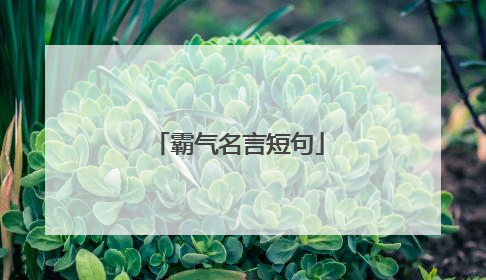 霸气名言短句