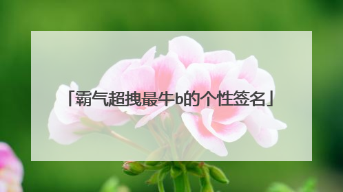 霸气超拽最牛b的个性签名