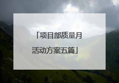 项目部质量月活动方案五篇