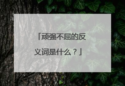 顽强不屈的反义词是什么?