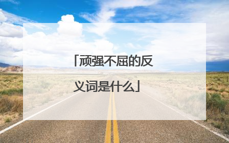 顽强不屈的反义词是什么