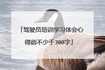 驾驶员培训学习体会心得德不少于300字