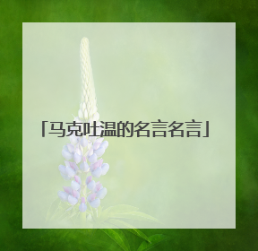 马克吐温的名言名言