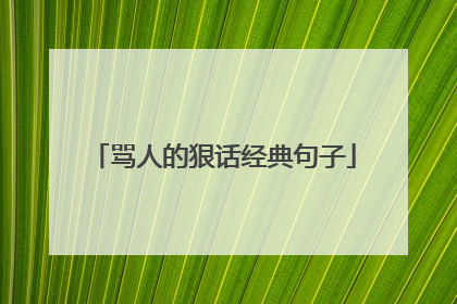 骂人的狠话经典句子