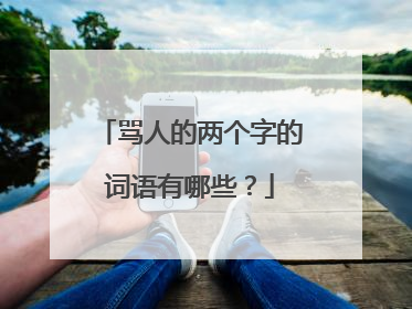 骂人的两个字的词语有哪些？