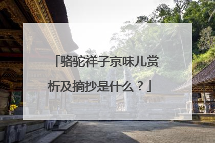 骆驼祥子京味儿赏析及摘抄是什么？