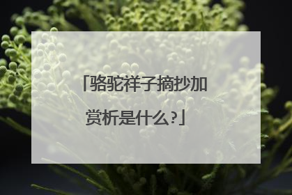 骆驼祥子摘抄加赏析是什么?