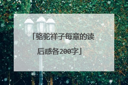 骆驼祥子每章的读后感各200字