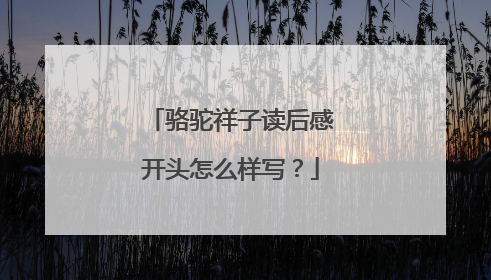 骆驼祥子读后感开头怎么样写？