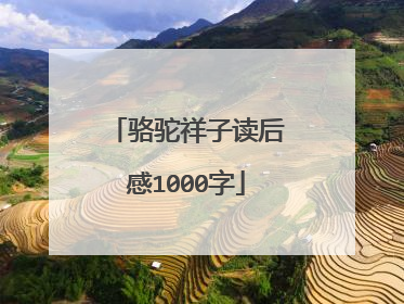 骆驼祥子读后感1000字