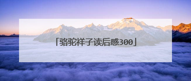 骆驼祥子读后感300