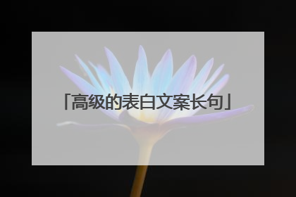 高级的表白文案长句
