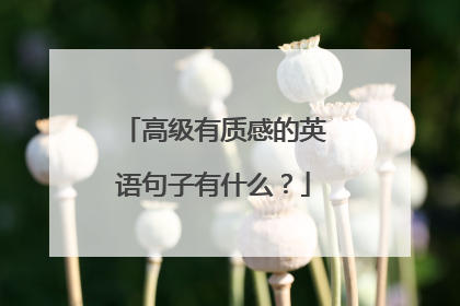 高级有质感的英语句子有什么？