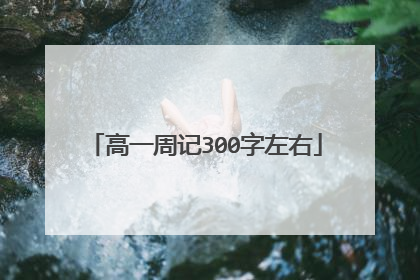 高一周记300字左右