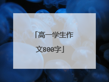 高一学生作文800字