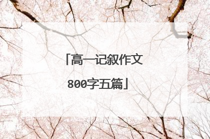 高一记叙作文800字五篇