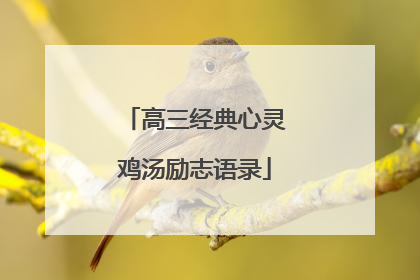高三经典心灵鸡汤励志语录