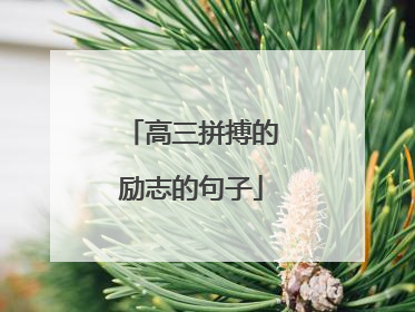 高三拼搏的励志的句子