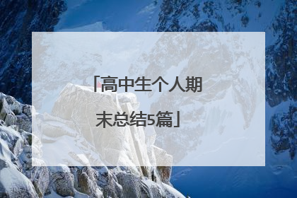 高中生个人期末总结5篇