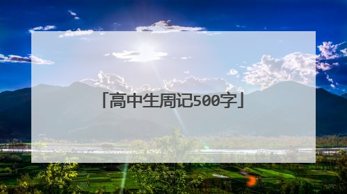 高中生周记500字