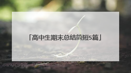 高中生期末总结简短5篇