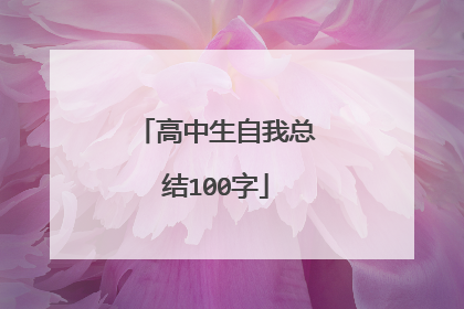 高中生自我总结100字