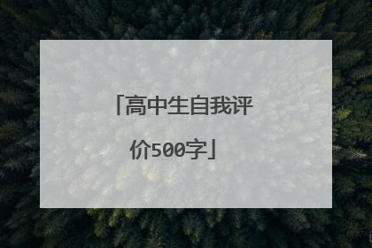 高中生自我评价500字