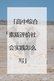 高中综合素质评价社会实践怎么写